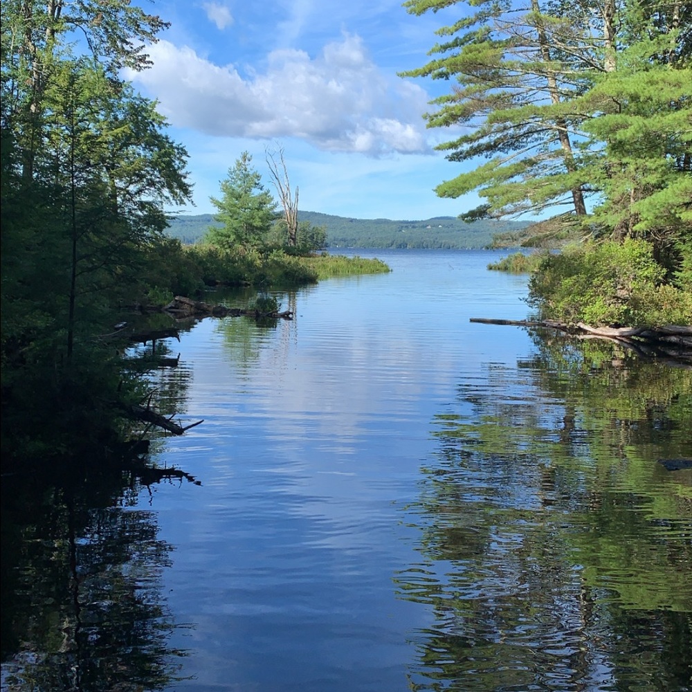 Meet your Posher, Marley